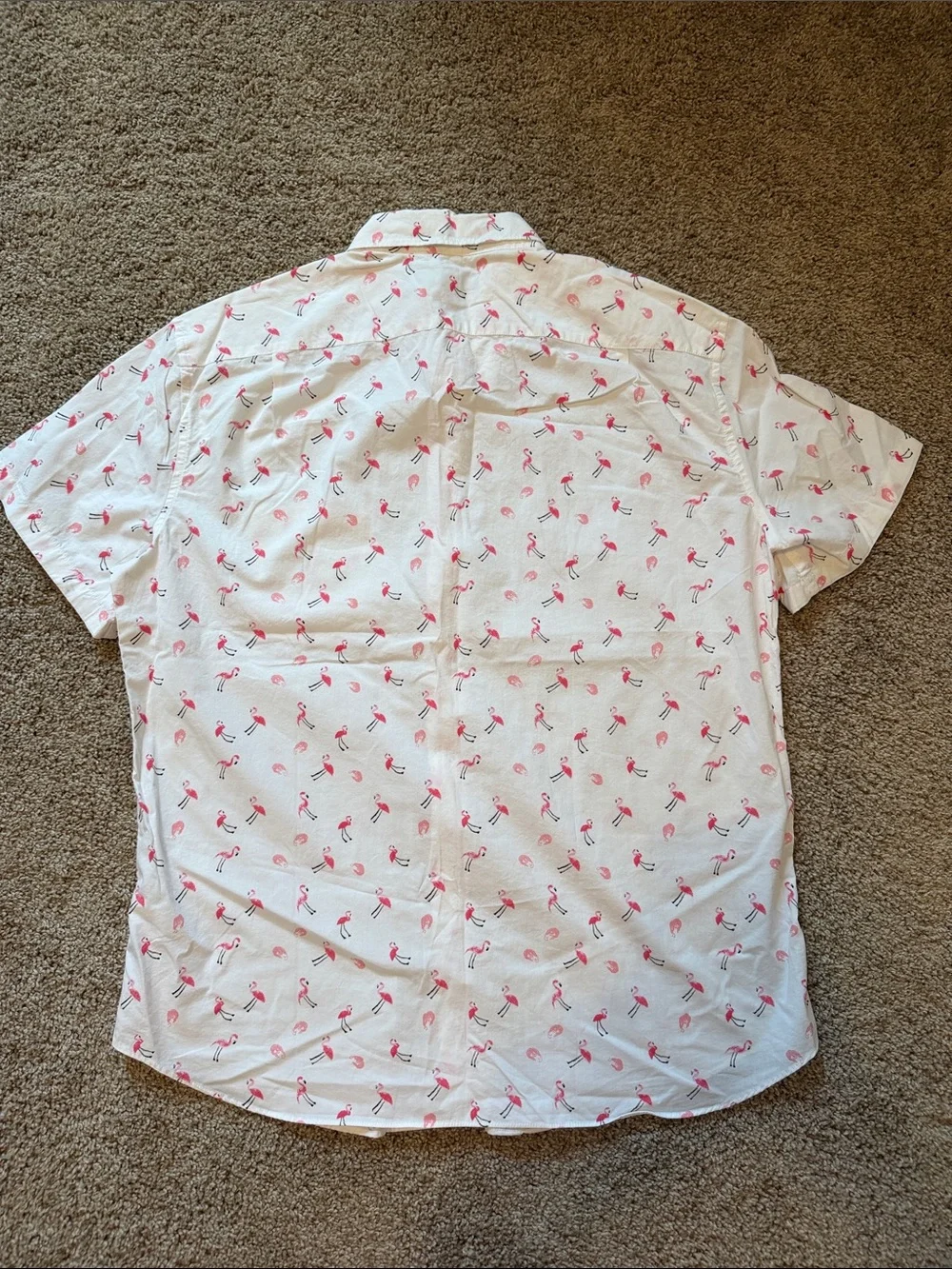 Short sleeve button down